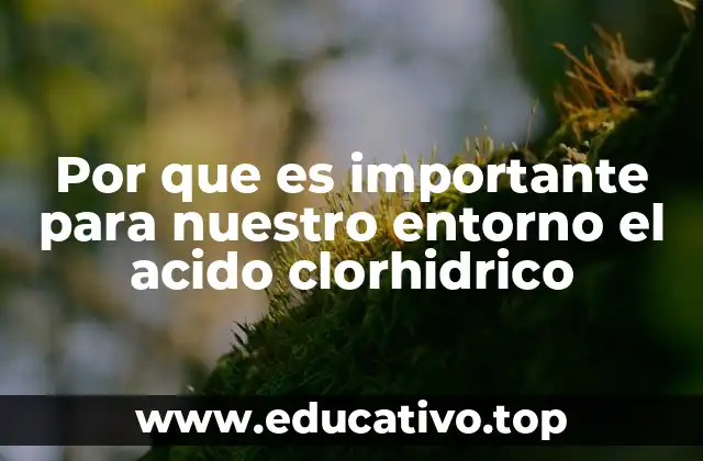 Por que es importante para nuestro entorno el acido clorhidrico