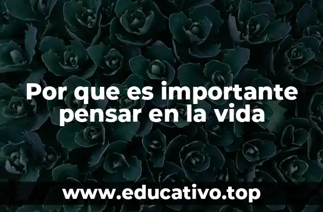 Por que es importante pensar en la vida