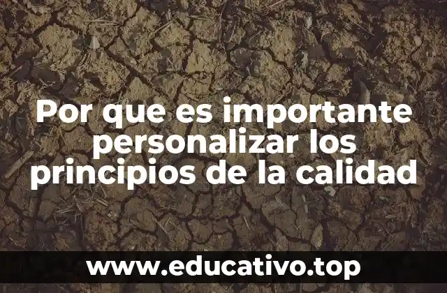 Por que es importante personalizar los principios de la calidad