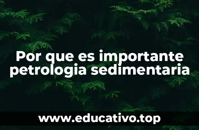 El papel de la petrología en la exploración geológica