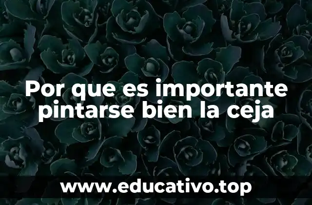 Por que es importante pintarse bien la ceja