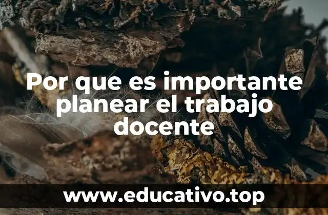 Por que es importante planear el trabajo docente