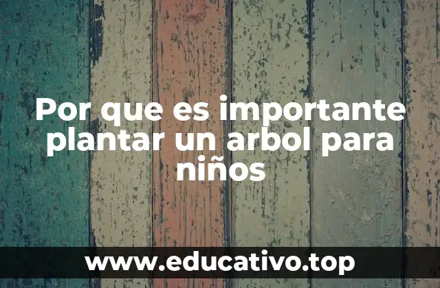 Por que es importante plantar un arbol para niños