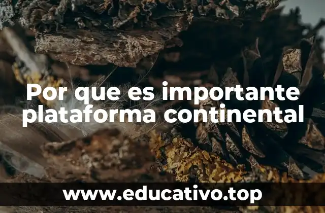 Por que es importante plataforma continental