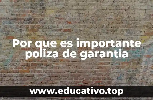 Por que es importante poliza de garantia