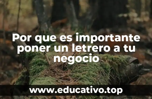 La importancia de la visibilidad en el entorno empresarial