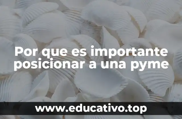 Por que es importante posicionar a una pyme