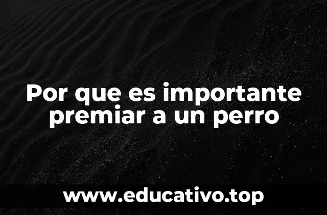 Por que es importante premiar a un perro