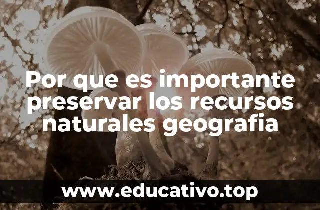 Por que es importante preservar los recursos naturales geografia