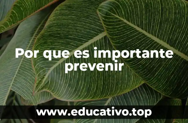 Por que es importante prevenir