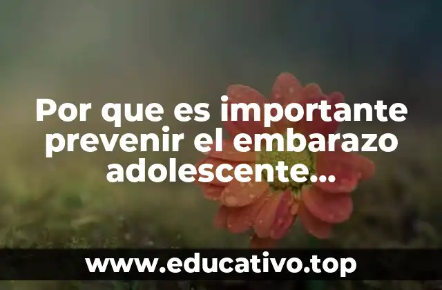 Por que es importante prevenir el embarazo adolescente criminologia