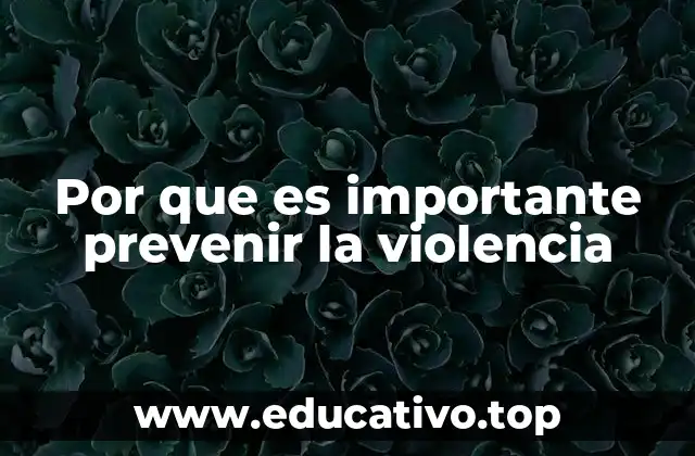 Por que es importante prevenir la violencia