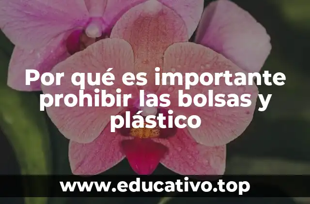 Por qué es importante prohibir las bolsas y plástico