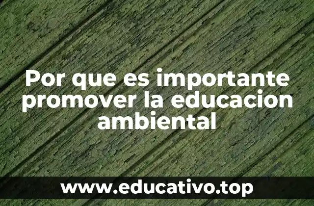 Por que es importante promover la educacion ambiental
