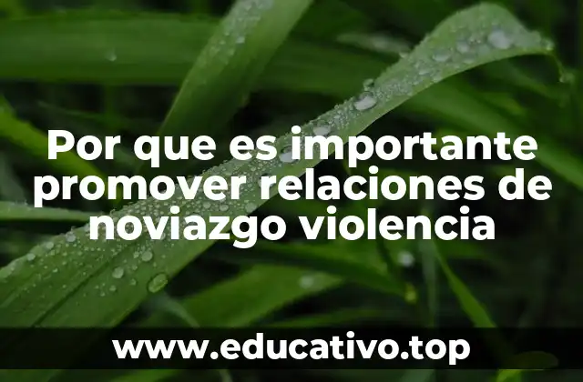 Por que es importante promover relaciones de noviazgo violencia