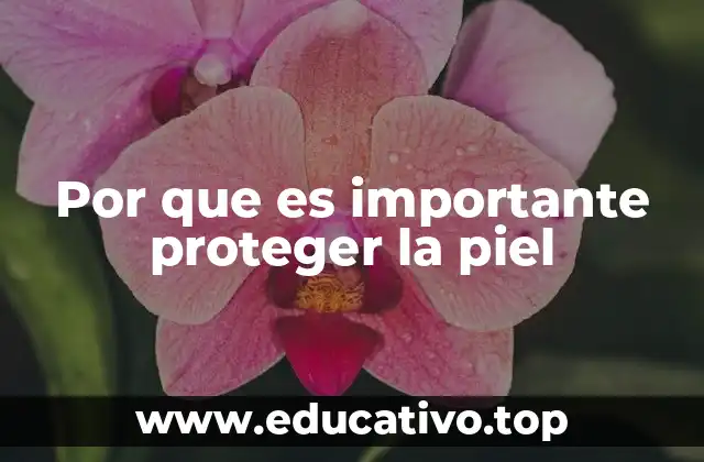 Por que es importante proteger la piel