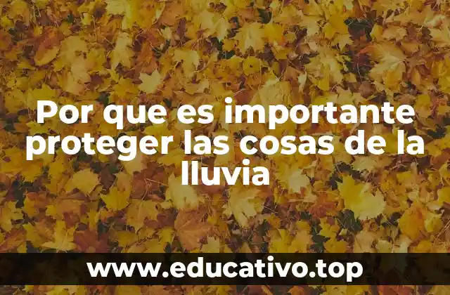 Por que es importante proteger las cosas de la lluvia