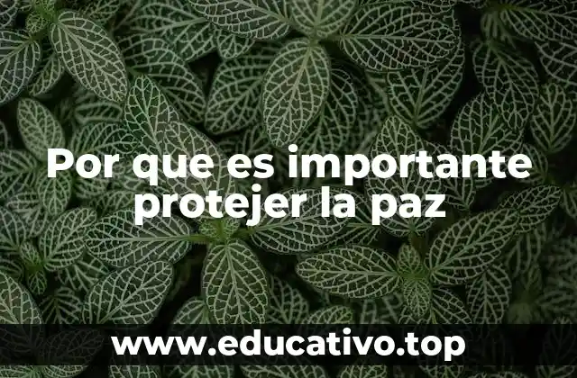 Por que es importante protejer la paz