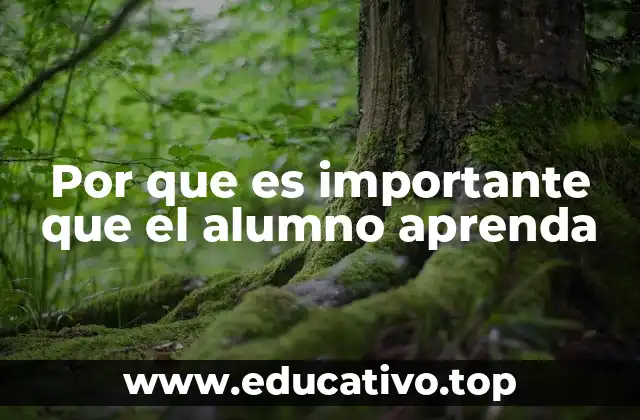 Por que es importante que el alumno aprenda