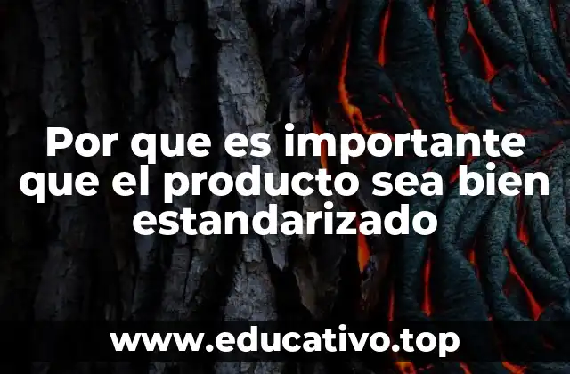 Por que es importante que el producto sea bien estandarizado