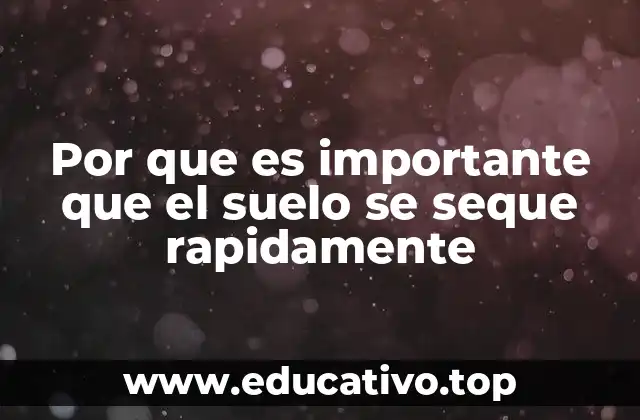 Factores que influyen en la velocidad de secado del suelo