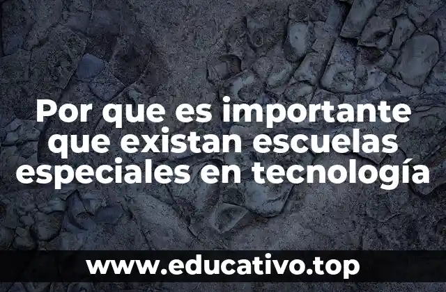 Por que es importante que existan escuelas especiales en tecnología