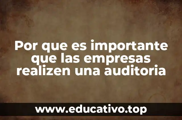 Por que es importante que las empresas realizen una auditoria