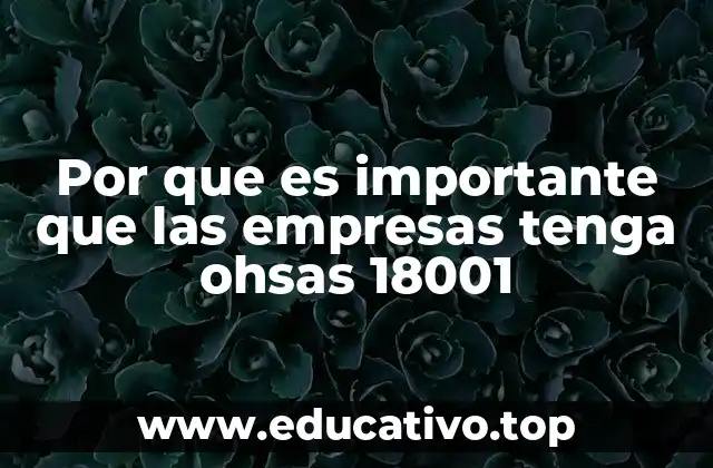 La importancia de una cultura preventiva en el lugar de trabajo