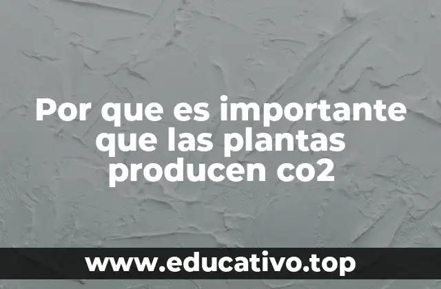 Por que es importante que las plantas producen co2