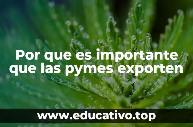 Por que es importante que las pymes exporten