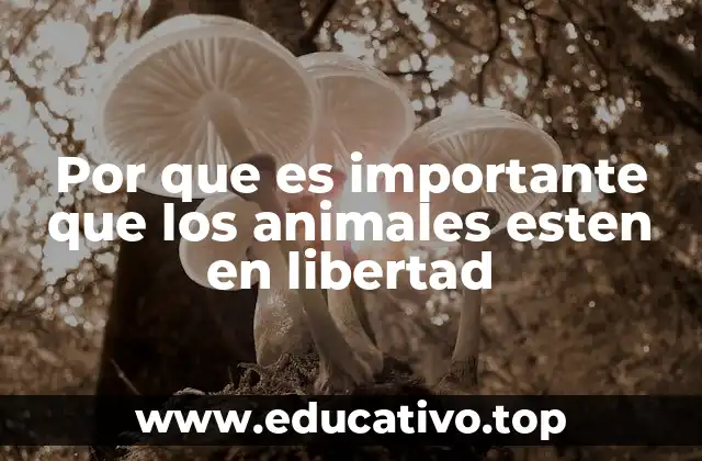 La relación entre el medio ambiente y la libertad animal