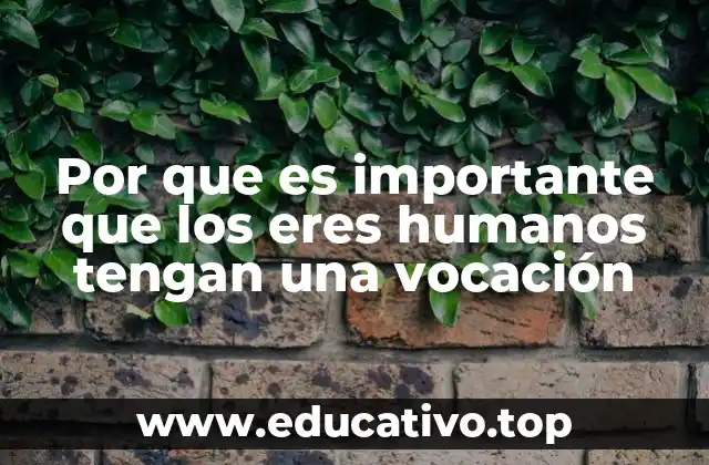 Por que es importante que los eres humanos tengan una vocación