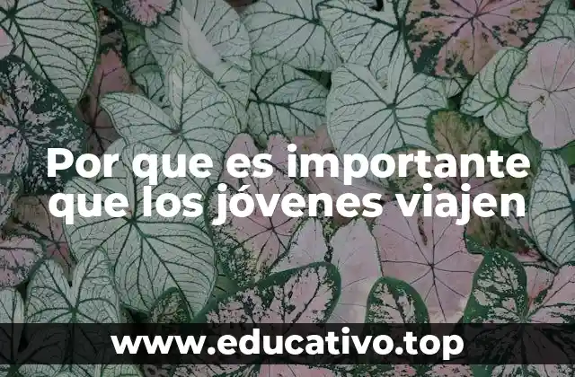 Por que es importante que los jóvenes viajen