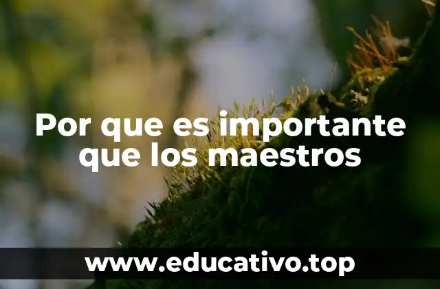Por que es importante que los maestros