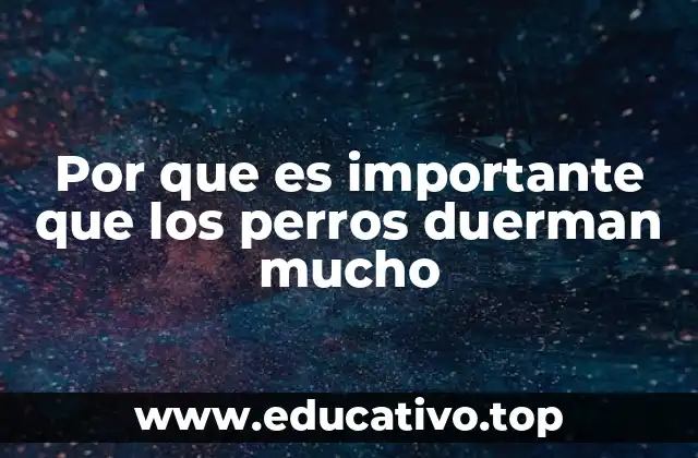 Por que es importante que los perros duerman mucho