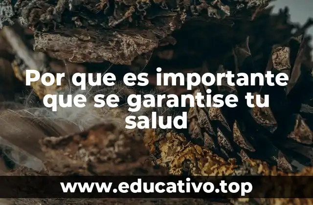 Por que es importante que se garantise tu salud