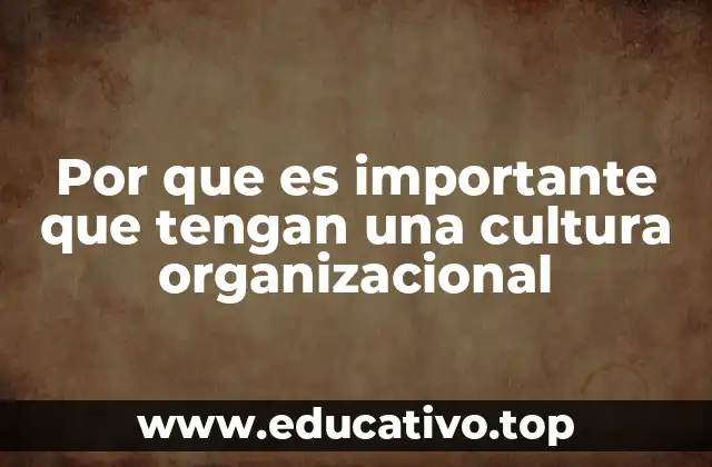Por que es importante que tengan una cultura organizacional