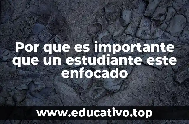 Por que es importante que un estudiante este enfocado