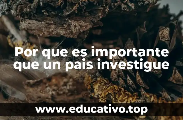 Por que es importante que un pais investigue