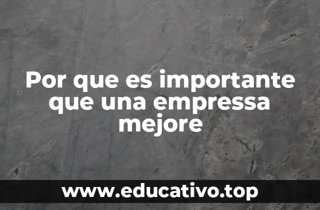 Por que es importante que una empressa mejore