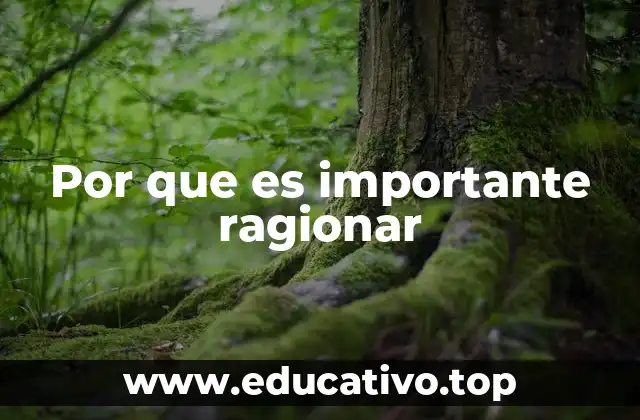Por que es importante ragionar