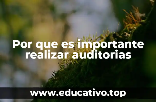 Por que es importante realizar auditorias