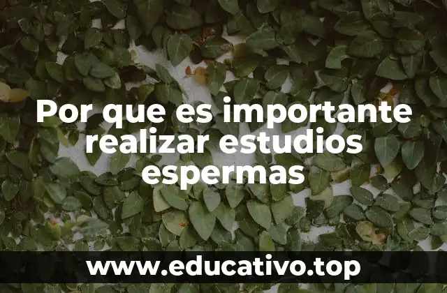 Por que es importante realizar estudios espermas