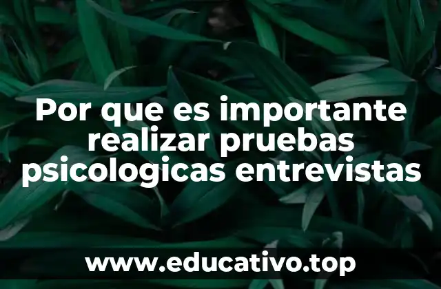 Por que es importante realizar pruebas psicologicas entrevistas
