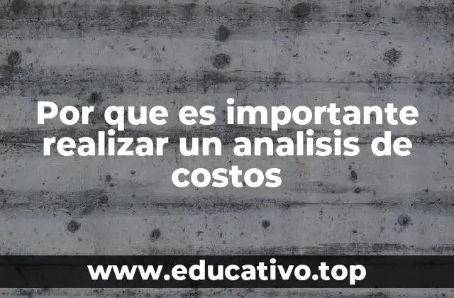 Por que es importante realizar un analisis de costos
