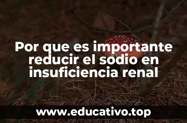Por que es importante reducir el sodio en insuficiencia renal