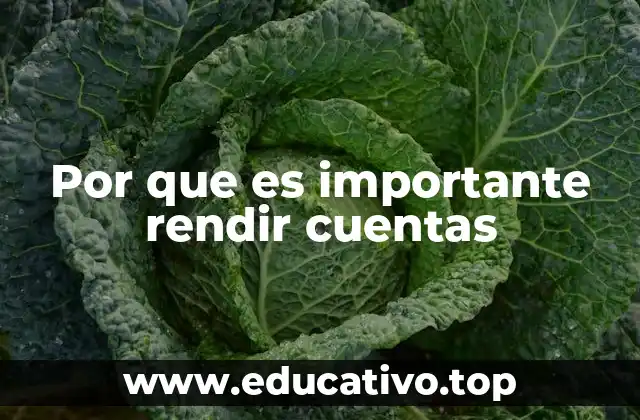 Por que es importante rendir cuentas
