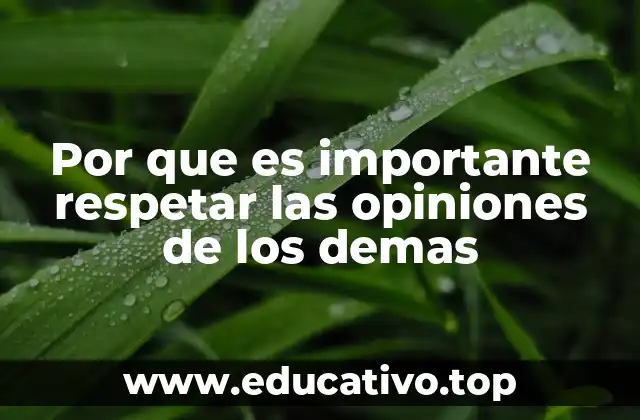 Por que es importante respetar las opiniones de los demas