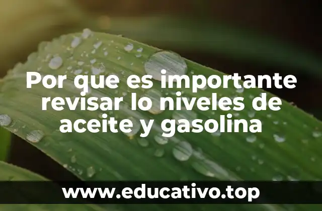 Por que es importante revisar lo niveles de aceite y gasolina
