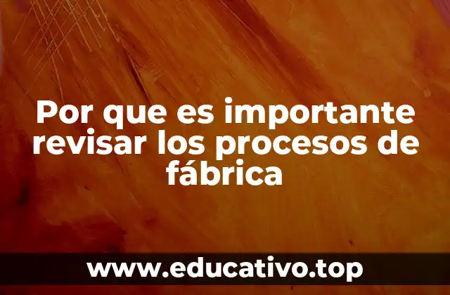 La importancia de la revisión en la operación industrial